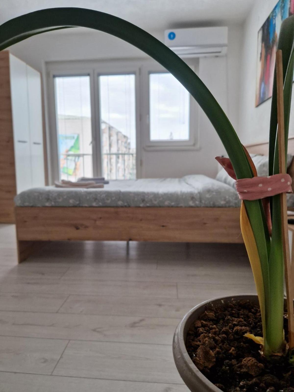 City Square Apartment Kumanowo Zewnętrze zdjęcie